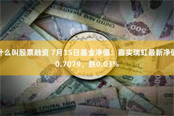 什么叫股票融资 7月15日基金净值：嘉实瑞虹最新净值0.7079，跌0.03%