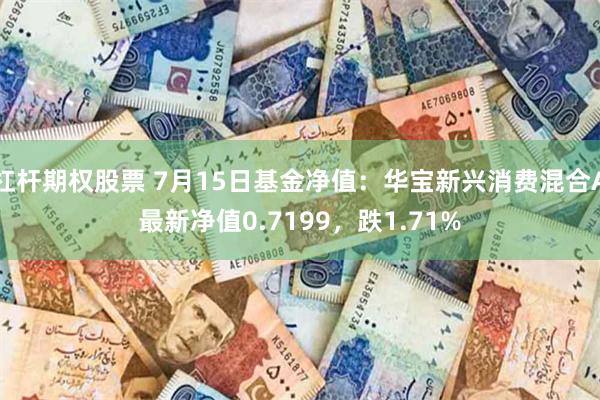 杠杆期权股票 7月15日基金净值：华宝新兴消费混合A最新净值0.7199，跌1.71%